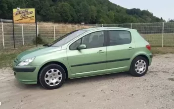 Peugeot 307 Arpajon-sur-Cère