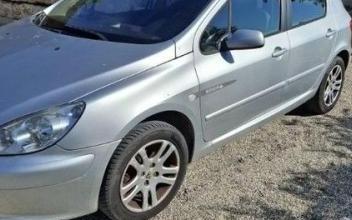 Peugeot 307 Craponne