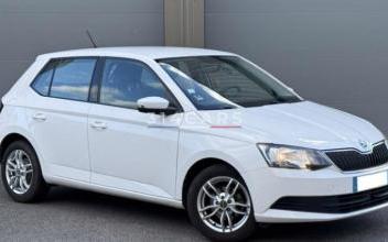 Skoda Fabia Roanne