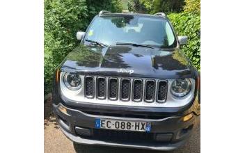 Jeep renegade Bron