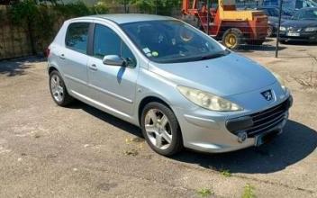 Peugeot 307 Mions