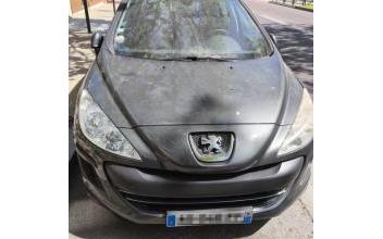 Peugeot 308 Le-Perreux-sur-Marne