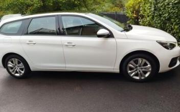 Peugeot 308 sw Betting