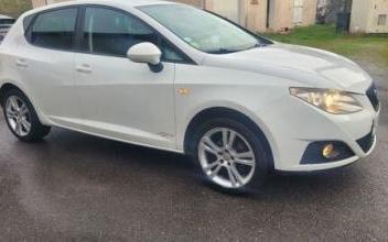 Seat ibiza Aucamville