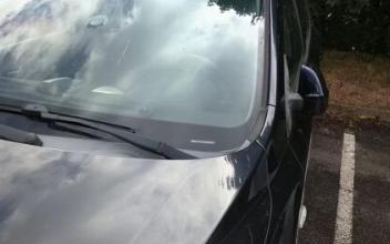 Kia ceed sw Bressuire