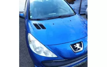 Peugeot 206 Cagnes-sur-Mer