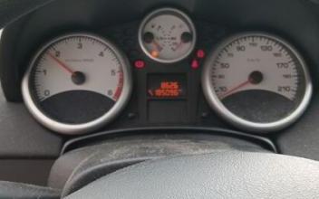 Peugeot 207 Faux-la-Montagne