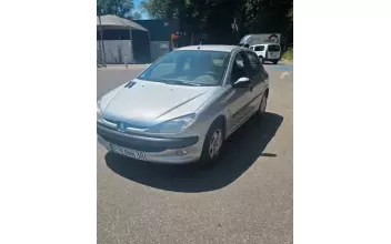 Peugeot 206 Chavanoz