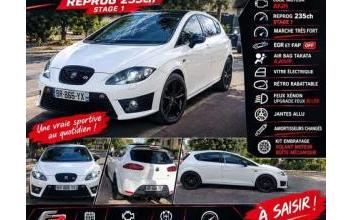 Seat leon Saint-Jean-de-la-Ruelle