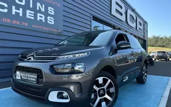 Citroen C4 Cactus Pavie