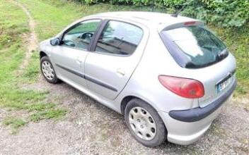 Peugeot 206 Bruch
