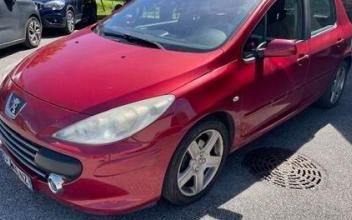 Peugeot 307 Scionzier
