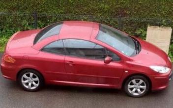 Peugeot 307 cc Roppe