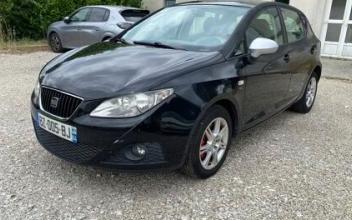 Seat ibiza Bassens