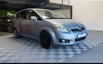 Toyota corolla Segré