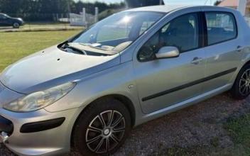 Peugeot 307 Courbépine