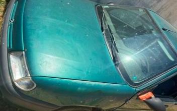 Citroen saxo Prunelli-di-Fiumorbo