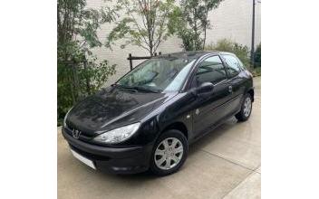 Peugeot 206 Fleury-les-Aubrais