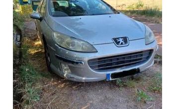 Peugeot 407 sw Octon