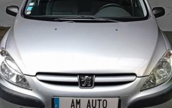 Peugeot 307 Drulingen
