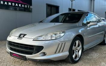 Peugeot 407 Bagard