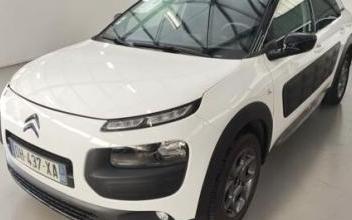 Citroen c4 cactus Saint-Jeannet