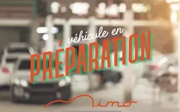 Fiat Punto Evo Craponne