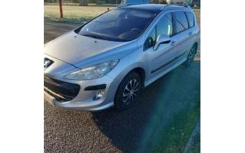 Peugeot 308 sw Jumelles