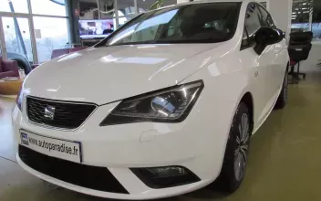 Seat Ibiza Roche-la-Molière