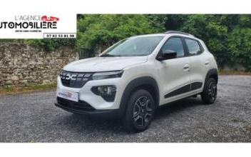 Dacia spring Fleurines