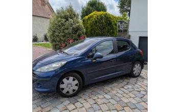 Peugeot 207 Moult