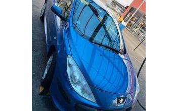 Peugeot 307 Guyancourt