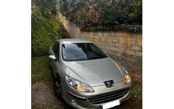 Peugeot 407 Brioude