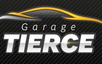 Renault scenic Sancoins