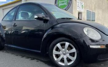 Volkswagen beetle Le-Loroux-Bottereau