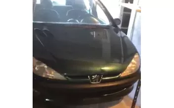 Peugeot 206 Annemasse