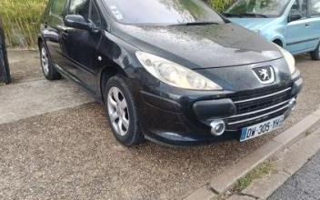 Peugeot 307 Veneux-les-Sablons