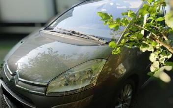 Citroen c4 picasso Guise