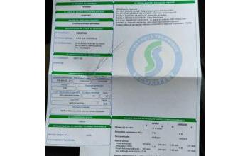 Fiat panda Chavelot