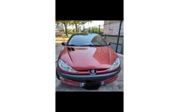 Peugeot 206 cc Stains