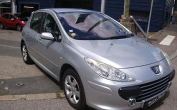 Peugeot 307 Sathonay-Camp