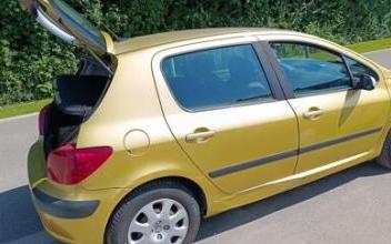 Peugeot 307 Verton
