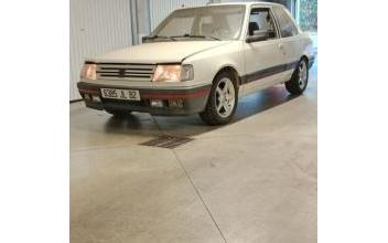 Peugeot 309 Fenouillet