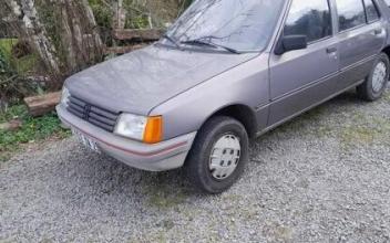 Peugeot 205 Monestiés