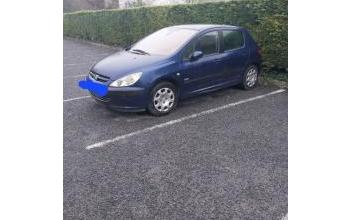 Peugeot 307 Le-Perreux-sur-Marne