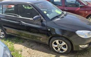 Skoda fabia Lamaids