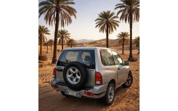 Suzuki grand vitara Loyettes