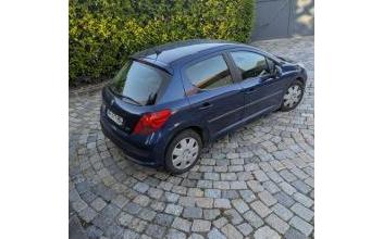 Peugeot 207 Moult
