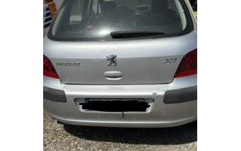 Peugeot 307 Keskastel