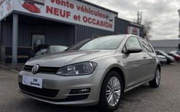 Volkswagen golf Passins